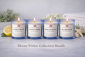 Bloom Within 4-Pack Bundle