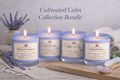 Cultivated Calm 4-Pack Bundle